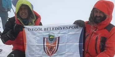 6ea86c8d77