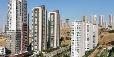 7bc8734305